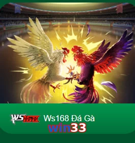 win33